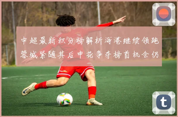 中超最新积分榜解析海港继续领跑蓉城紧随其后申花争夺榜首机会仍在