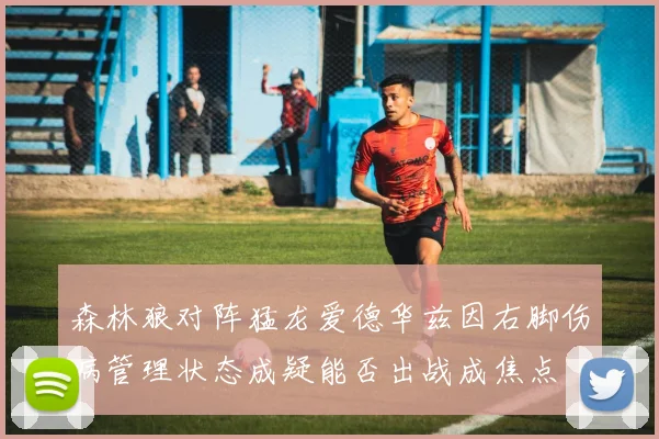 森林狼对阵猛龙爱德华兹因右脚伤病管理状态成疑能否出战成焦点